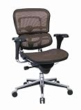 Eurotech Ergohuman Mid Back Mesh Chair