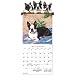 boston terrier - Boston Terrier Calendar & Caddy Combo