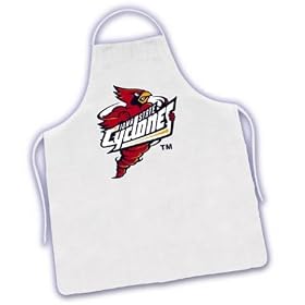 Iowa Hawkeyes Tailgate Barbecue (BBQ) Grilling Apron NCAA by 