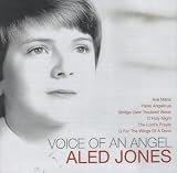 Voice of An Angel
