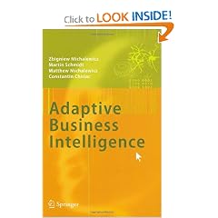 Adaptive Business Intelligence