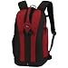 Lowepro Flipside 300 Backpack (Red)