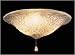 Emerson G301 Amber Rose Glass (F357WW fitter Included)
