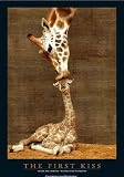 Produkt-Bild: Empire 15884 Giraffen - First Kiss, Poster ca. 91,5 x 61 cm