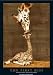 Empire 15884 Giraffen - First Kiss, Poster ca. 91,5 x 61 cm