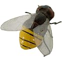 6 Bee Magnets Boxed Set, Very Lifelike