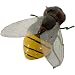 6 Bee Magnets Sets - Boxed. So lifelike!