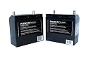 Solaris/Epic 24-Volt Battery Set (2 Batteries) For Epic and Solaris Cordless Lawn Mowers #510140