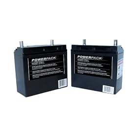 Solaris/Epic 24-Volt Battery Set (2 Batteries) For Epic and Solaris Cordless Lawn Mowers #510140