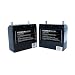 Solaris/Epic 24-Volt Battery Set (2 Batteries) For Epic and Solaris Cordless Lawn Mowers #510140