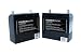 Solaris/Epic 24-Volt Battery Set (2 Batteries) For Epic and Solaris Cordless Lawn Mowers #510140