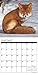 Foxes 2017 Wall Calendar