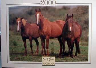 Three Horses 2000 piece puzzle