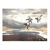 (16x21) Les Kouba (Bluebill Ducks) Art Poster Print