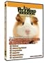 PET VIDEO CARING FOR YOUR GUINEA PIG DVD
