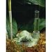 New Creative Turtle Rain Gauge