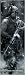 Call Of Duty: Modern Warfare 2 - Door Poster (Size: 21