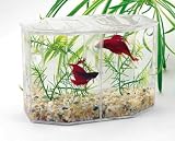 Betta Hex Dual Mini Tank Kit