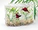 Pet Supplies : Betta Hex Dual Mini Tank Kit