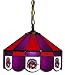 Imperial Toronto Raptors Licensed 16-Inch Diameter Stained Glass Pub Light