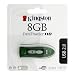 Kingston 8GB USB 2.0 Hi-Speed DataTraveler 110 (Green) (DT110G/8GB)