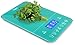 Ozeri Touch III 22 lb (10 kg) Digital Kitchen Scale with Calorie Counter in Tempered Glass, Teal Blue