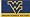 West Virginia Mountaineers