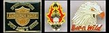 G -American Made Biker Hat Pin Set of 3-Motorcycle Pin Hat Vest Lapel Bike Set