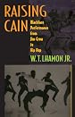 Raising Cain: Blackface Performance from Jim Crow to Hip Hop