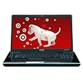 Toshiba Satellite 18.4