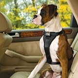 Tru-Fit Smart Harness with Seat Belt Loop - Black, Small: For dogs 10-25 lbs. - Frontgate