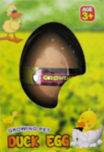 Hatching Duck Egg by Toy