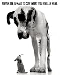 Fun - Never Be Afraid To Say What You...