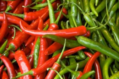 Pepper Cayenne Red D151HPEP (Red) 50 Organic Seeds by David's Garden Seeds Pepper Cayenne Red D151HPEP (Red) 50 Organic Seeds by David's Garden Seeds