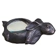 Rabbit Magnifying Glass Decorative