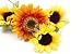 Sonnenblumen - 24