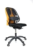 Zoom Produkt-Bild: Fellowes 8029901 R&uuml;ckenst&uuml;tze Professional Series Netz, schwarz