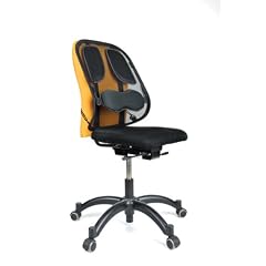 Fellowes 8029901 R�ckenst�tze Professional Series Netz, schwarz