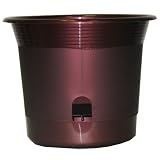 Apollo Plastics E012-CABERNET 12-Inch Self Watering Planter, Cabernet