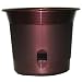 Apollo Plastics E012-CABERNET 12-Inch Self Watering Planter, Cabernet