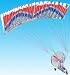 The Microkite
