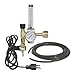 REG-1 CO2 Regulator / Valve