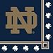 Notre Dame Fighting Irish - Beverage Napkins (20 count)