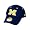 Michigan Wolverines 