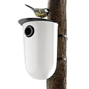 Bird Feeder