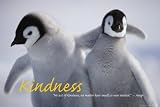 Kindness Poster Print, 36x24