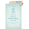The Lost Diaries of Adrian Mole, 1999-2001 (Adrian Mole 7)