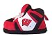 Wisconsin Badgers