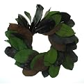Smith & Hawken&reg; Magnolia Leaf Wreath - 18"