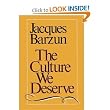 The Culture We Deserve: A Critique of Disenlightenment